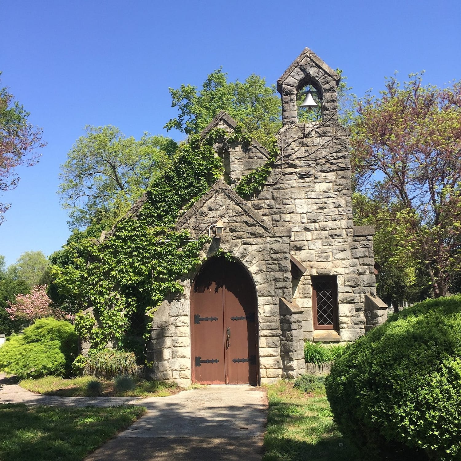 image1